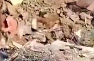 一颗鱼牙,是怎么长成“7岁男童”的