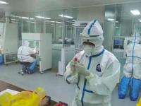 鼠疫到底是什么：从西伯利亚死亡事件看一个古老细菌的现代风险