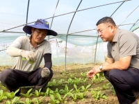 抢农时 农技人员下田指导萝卜生产