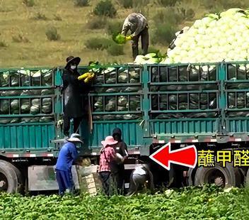 甲醛白菜十四年:一场“地方保护”与“逐利执法”的合谋