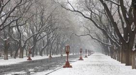 别信“暖冬”：1998年的洪水，2016年广州的“雪”